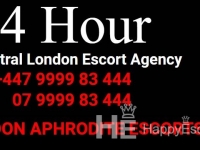 Aphrodite London Escort - London / United Kingdom Escort Agencies - 1