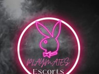 Playmates Escorts Agency in Manchester