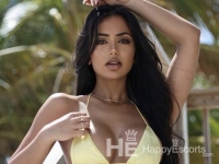 Agency 29 - Berliini/Saksa Escort Agencies - 1