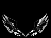Ariana Agency