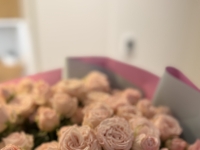 Hot Girls - Escort Agency in Berlin / Deutschland