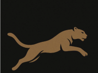 Zenit - İstanbul / Türkiye Escort Ajansları