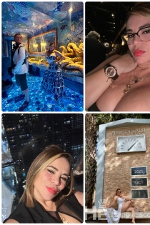 Civel, Age 35, Prague / Czech Republic Escorts - 13