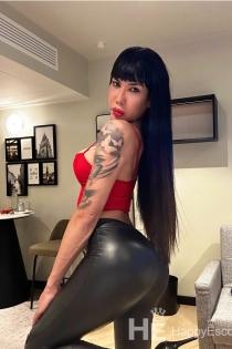 Karol, 28 éves, Riga / Lettország Escorts - 18