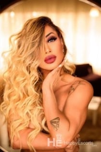 Serena, 31 anos, Acompanhantes Lisboa / Portugal - 12