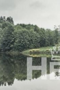 Amorevonooe, 48 jaar, Linz / Oostenrijk Escorts - 4
