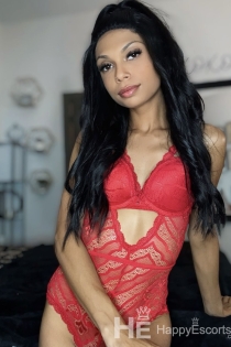 알렉사 스카이, 29세, 덴튼 / 미국 에스코트 - 1