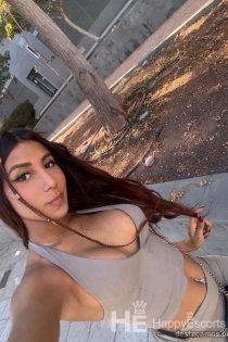 Sofia, 24 år, Alacant / Spanien Escorts - 7