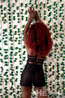 Jane, 22 år, Prag / Tjekkiet Escorts - 4