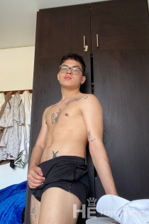 Jackson, Alter 23, Escort in Brüssel / Belgien - 1