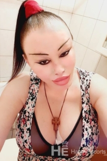 Transsica Barbie Mackica Barba, Alter 31, Escort in Skopje / Mazedonien - 11