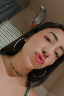 Alyssa, 24-aastane, Brüssel/Belgia saatjad – 3