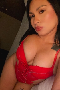 Samy, 25 let, Vlorë / Albánie Eskorty – 1