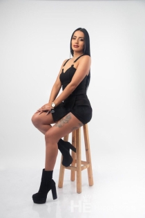 Lopez, 29 let, Tirana / Albánie Escorts - 1