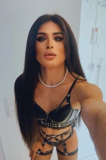 Leonnatv, 26 jaar, Lissabon / Portugal Escorts - 5