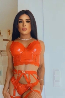 Leonnatv, 26 jaar, Lissabon / Portugal Escorts - 6