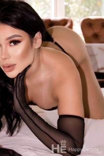 Caramelo, Age 28, Escort in Dubai / UAE - 2