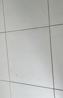 Alicia, Age 34, Milan / Italy Escorts