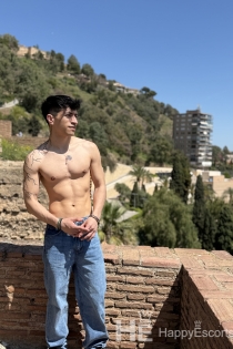 Dantp, 24 años, Madrid / España Escorts - 3