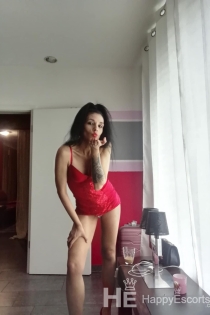 섹시한 여성, 35세, 바르나/불가리아 에스코트 - 4