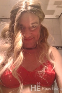 Sunny, 55 anos, s-Hertogenbosch / Acompanhantes Holanda - 1