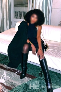 Kvin, 29 anos, Acompanhantes Dubai / Emirados Árabes Unidos - 2
