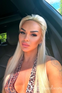 Blondie, 27 år - 2 år