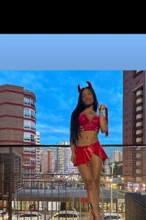 Lili, 23 år, Benidorm / Spanien Escorts - 1