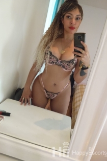 Jaque, 34 anos, Acompanhantes Lagos / Portugal - 7