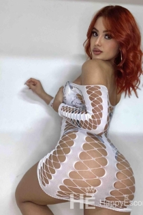 Leroyel, Umur 24, Pengiring Tirana / Albania - 1