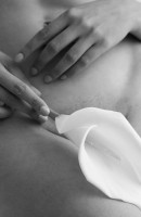 Massage Tantrique, Age 29, Cannes / France Escorts