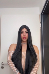 Dani, 23 år, Stuttgart / Tyskland Escorts - 3