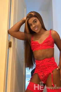 AGatha William, 26 jaar, Amsterdam / Nederland Escorts - 13