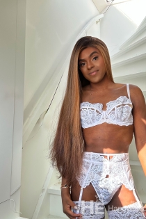 AGatha William, 26 jaar, Amsterdam / Nederland Escorts - 10