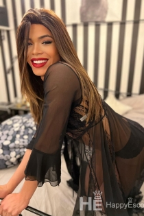 Kim, 25 años, escorts en Ámsterdam / Países Bajos - 8