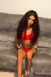 Данијела, 23 године, Марбеља / Шпанија Есцортс - 2