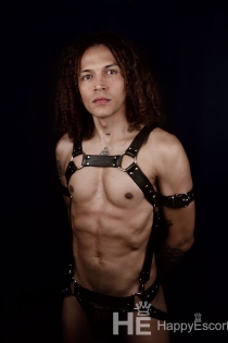 David Curl, 29 ans, Paris / France Escortes - 2