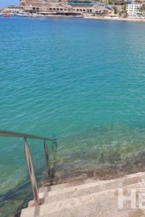 Aylin, อายุ 26, Alicante / Escorts สเปน - 5