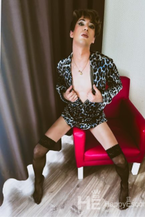 Lauris, Age 29, Escort in Podgorica / Montenegro