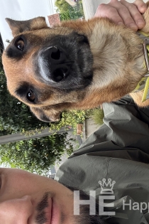 Loic, 31 ans, Troyes / France Escortes - 2