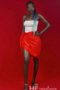 Сара, 29 лет, Гетеборг / Швеция Эскорт - 5