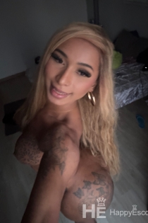 Nicolepanicats, Age 25, Escort in Albufeira / Portugal - 15