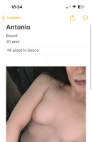 Antonia Campanale, Age 20, Zurich / Switzerland Escorts