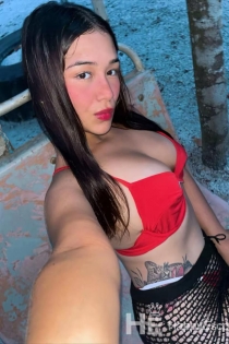 Angel, 21 ans, San Pawl il-Bahar / Malte Escortes - 4