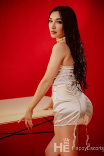 Kamila, 23&nbsp;gadi, Erevāna/Armēnija Eskorts&nbsp;— 5