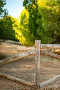 Bobie Miller, Age 32, Cascais / Portugal Escorts - 4