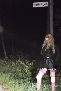 Сара Сисси, 53 года, Эребру / Швеция Эскорт - 3