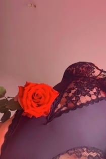 Angélica, 28 anos, Acompanhantes Porto / Portugal - 5