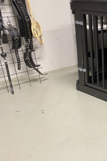 Mistress Filth, 28 let, Örebro / Švedska spremljevalka - 4