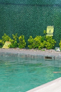 Alexsiya, 22 de ani, Istanbul / Turcia Escorte - 3